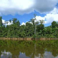 Кусочек Папуа-Новой Гвинеи. :: unix (Илья Утропов) Кусочек Папуа-Новой Гвинеи. :: unix (Илья Утропов)