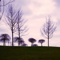 Парковый пейзаж. :: Юрий Полторыхин.