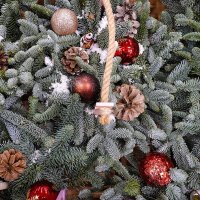 Новогоднее :: Валерий Иванович