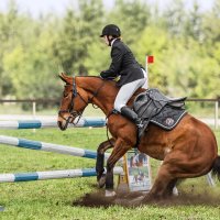 Конкур закидка :: SanSan 