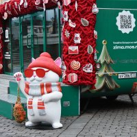 Предновогодняя Москва. :: Наташа ***** Предновогодняя Москва. :: Наташа *****