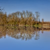 Гляжу в озёра синие... :: Александр Посошенко Гляжу в озёра синие... :: Александр Посошенко