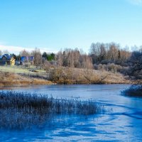 Осень в конце ноября. :: Милешкин Владимир Алексеевич Осень в конце ноября. :: Милешкин Владимир Алексеевич