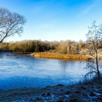 Осень в ноябре. :: Милешкин Владимир Алексеевич Осень в ноябре. :: Милешкин Владимир Алексеевич