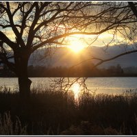 На исходе дня :: Aleksandr Gal На исходе дня :: Aleksandr Gal