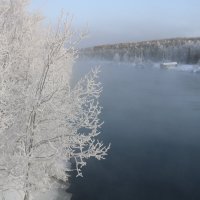 В зимних нарядах :: Ольга В зимних нарядах :: Ольга