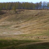 Необъятные просторы. :: nadyasilyuk Вознюк Необъятные просторы. :: nadyasilyuk Вознюк