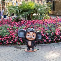 чебурашка в Кисловодске :: navalon M чебурашка в Кисловодске :: navalon M