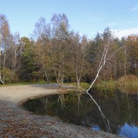 Ноябрь :: Рита Симонова Ноябрь :: Рита Симонова