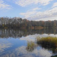 Ноябрь :: Рита Симонова