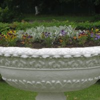 Цветы лета :: Дмитрий Никитин Цветы лета :: Дмитрий Никитин