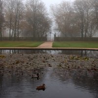 Утро в парке :: Юрий. Шмаков