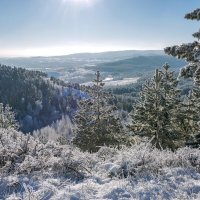 Чудеса зимней природы :: Наталья Димова Чудеса зимней природы :: Наталья Димова
