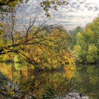 Осень. :: Александр. AVG100 --- Осень. :: Александр. AVG100 ---