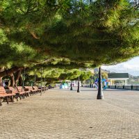 ... :: Сергей Яковлев