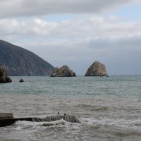 ... :: Сергей Яковлев