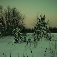 ЗИМА, ДЕКАБРЬ - мая деревня БАНИ :: Владимир Максимов