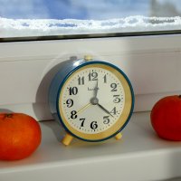 Зимний солнечный денёк. :: Владимир Помазан