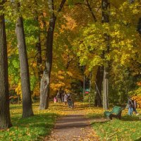 В осеннем саду................. :: Юрий Цыплятников