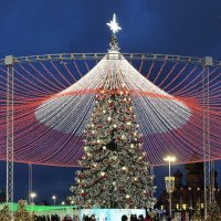 Главная елка Тулы :: Александр Конов Главная елка Тулы :: Александр Конов