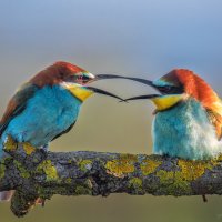Диалог :: Александр К. Диалог :: Александр К.