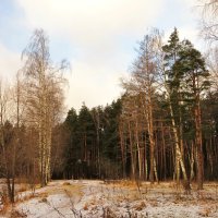 Такая зима... :: Андрей Снегерёв Такая зима... :: Андрей Снегерёв