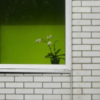 *** :: Лера *** :: Лера