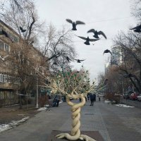 Almaty. :: Murat Bukaev Almaty. :: Murat Bukaev