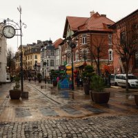 Пешеходка :: Лилия .