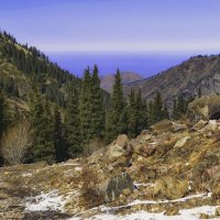 Ущелье в окрестностях Алматы. Сев. Тянь-Шань :: LudMila Ущелье в окрестностях Алматы. Сев. Тянь-Шань :: LudMila