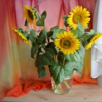 Подсолнухи :: Надежда Куркина 