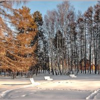 В зимнем парке :: Aquarius - Сергей В зимнем парке :: Aquarius - Сергей