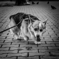 В парке :: Андрей В парке :: Андрей