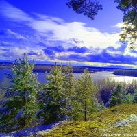 Красивый вид на Алтайское раздолье на реке Бии :: михаил Архангел