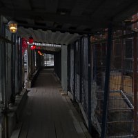 Аварийный проход. :: Сергей Фомичев