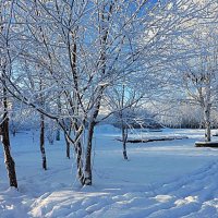 Январь...Серебряное  утро в сквере! :: Владимир 
