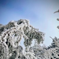 Притяжение гор,красота... :: Георгиевич Притяжение гор,красота... :: Георгиевич