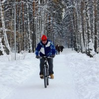 Не хватило лыж... :: Галина Нестратова