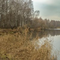 Декабрь на паузе. :: Николай 