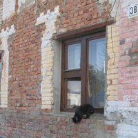 зарисовка :: Елена Шаламова