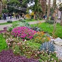 ул.Навагинская :: Tata Wolf