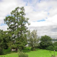 Усадьба Гальских :: Александр Ильчевский 