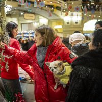 На Новогодней ярмарке. :: Николай Галкин На Новогодней ярмарке. :: Николай Галкин