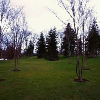 Парковый пейзаж. :: Юрий Полторыхин.