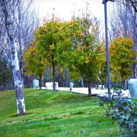 Середина декабря :: Юрий Полторыхин.