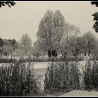 *** :: Aleksandr Gal