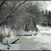 *** :: Aleksandr Gal *** :: Aleksandr Gal