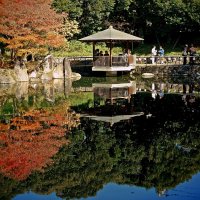 В осеннем саду Токио :: Civetta *** В осеннем саду Токио :: Civetta ***