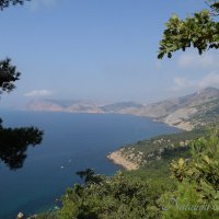 Природа Крыма :: Amazing Cosmea Природа Крыма :: Amazing Cosmea