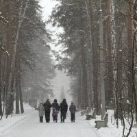 Снежная симфония: прогулка в парке. :: Сергей Адигамов Снежная симфония: прогулка в парке. :: Сергей Адигамов